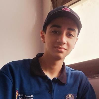 Amr Hani Abdallah Hanfy